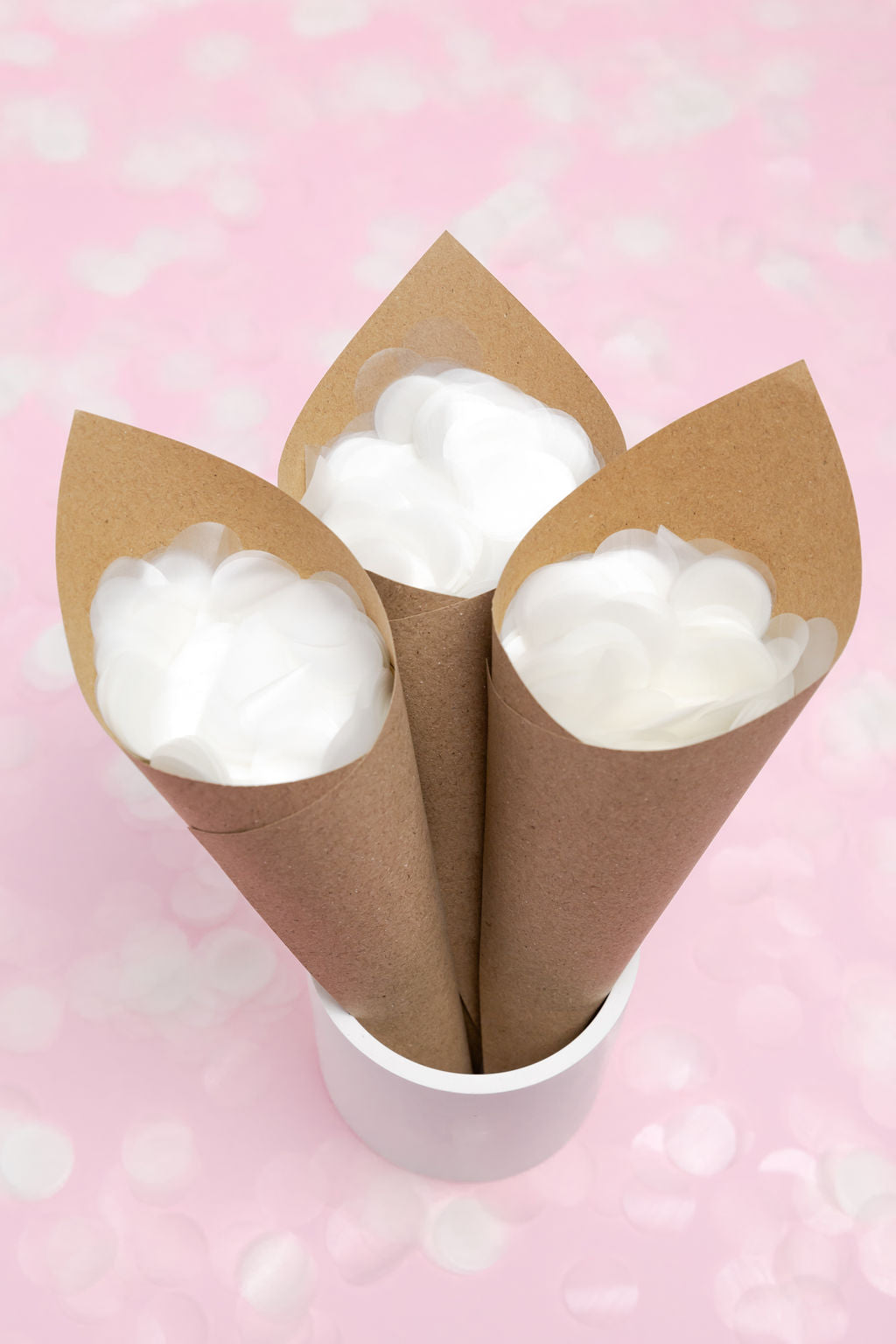 Biodegradable Confetti | Classic White